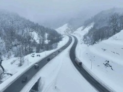 ბორითი ბორითი