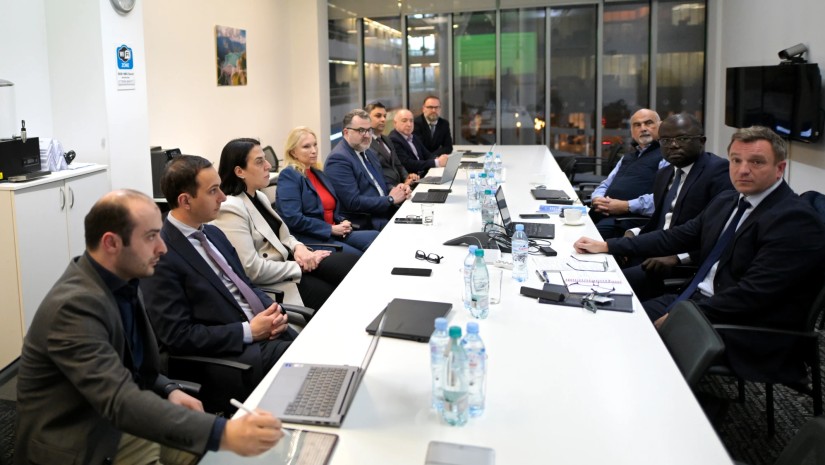 ნათია თურნავა