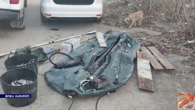 ბრაკონიერობა