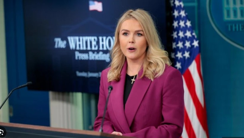 ეროლაინ ლევიტი