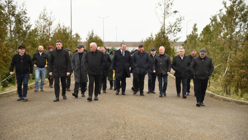 სოლომონ პავლიაშვილი