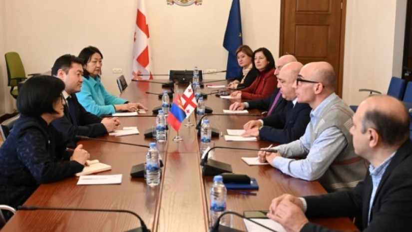 ჯანმრთელობის დაცვისა და სოციალურ საკითხთა კომიტეტი