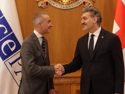 მიხეილ ყაველაშვილი