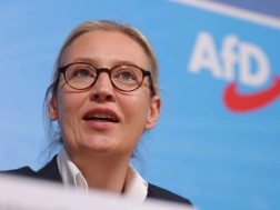 ალის ვაინდელი