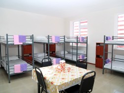 თავშესაფარი