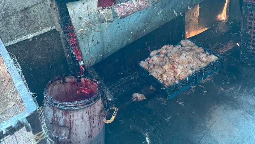 სასაკლაო