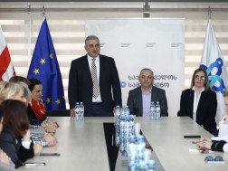 მიხეილ სარჯველაძე