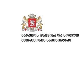 სოფლის მეურნეობის სამინისტრო