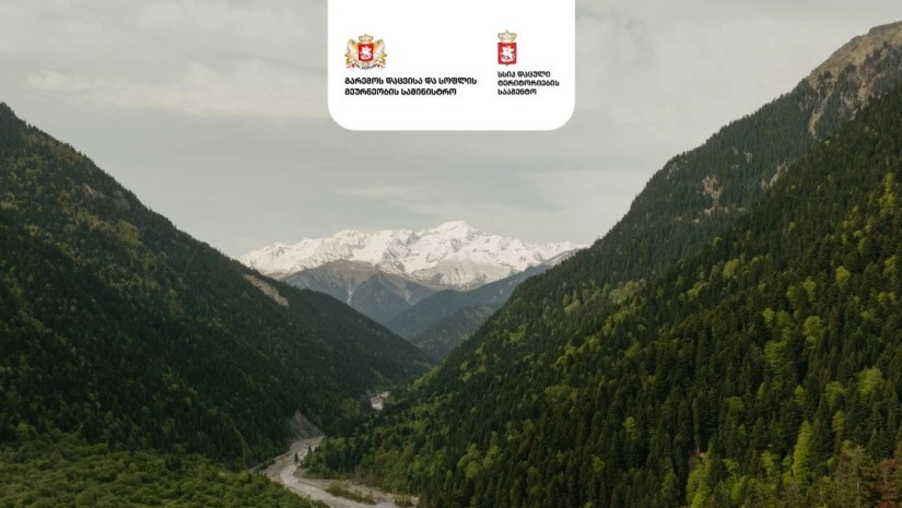 დაცულო ტერიტორიები