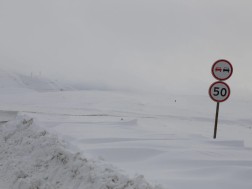 გუდაური-კობი გუდაური-კობი