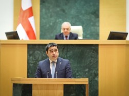 შალვა პაპუაშვილი