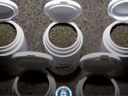 ნარკოტიკი