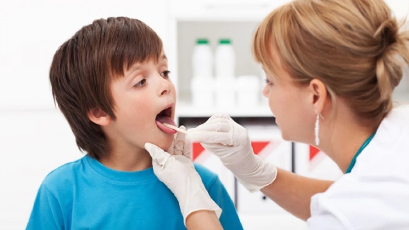 გლანდები