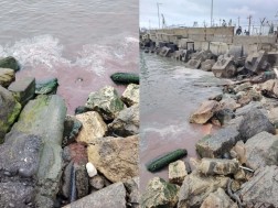 შავი ზღვა