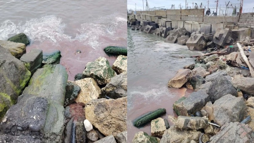 შავი ზღვა