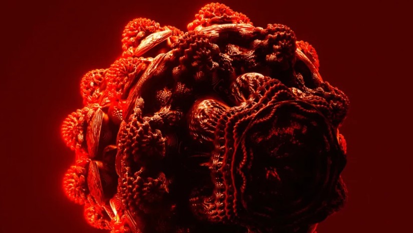 ბაქტერია