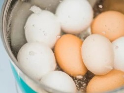 კვერცხის ნაჭუჭი