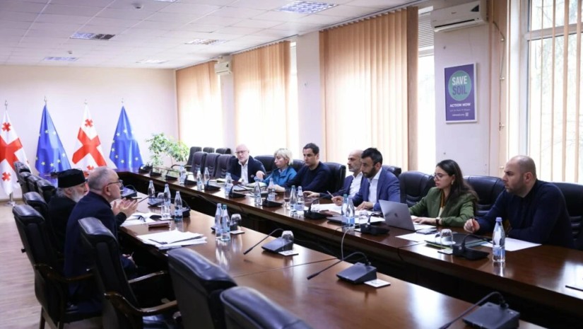 სამუშაო შეხვედრა