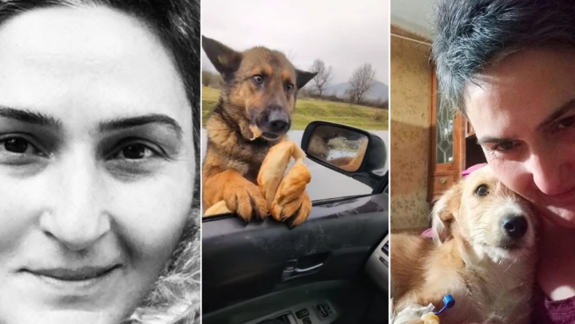 ნინო ყაველაშვილი