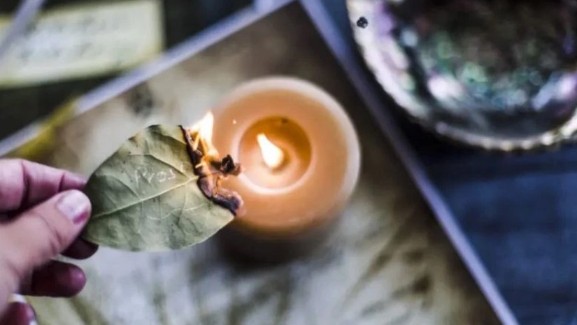 დაფნის ფოთოლი