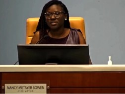 ვიცე მერი