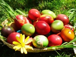 ფერადი კვერცხი