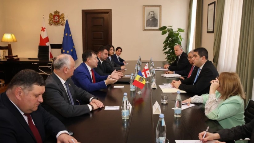 პაპუაშვილი მოლდოვას საპარლამენტო დელეგაციას შეხვდა