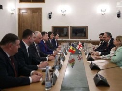 საპარლამენტო პოლიტიკური ჯგუფი