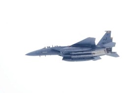 გამანადგურებელი