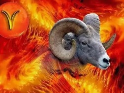 ვერძი ვერძი