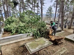 სასაფლაოებსა და მიმდებარე ტერიტორიებს აწესრიგებს