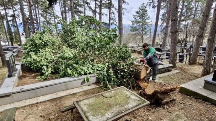 სასაფლაოებსა და მიმდებარე ტერიტორიებს აწესრიგებს