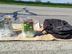 სერბეთი