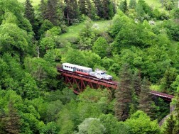 კუკუშკა