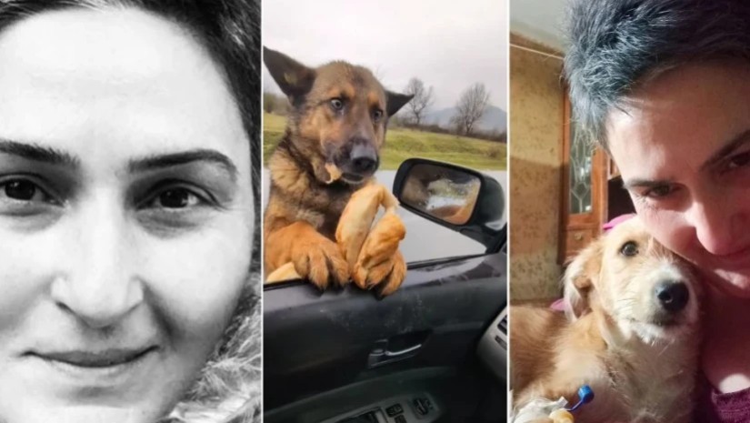 ნინო ყაველაშვილი