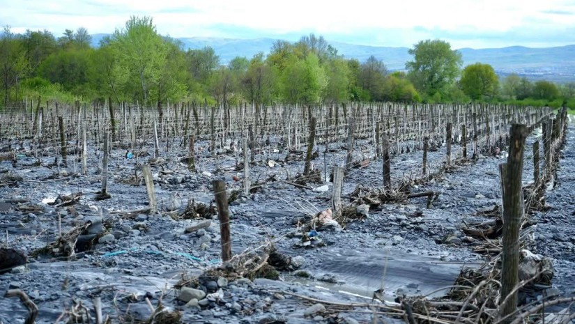 რეგიონი