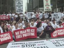 დემონსტრანტი