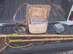 ბრაკონიერობა