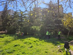 რეკრეაცია