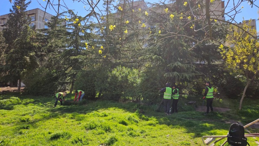 რეკრეაცია