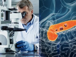 მეცნიერები