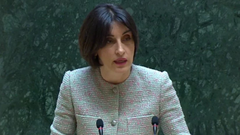 მაკა ბოჭორიშვილი