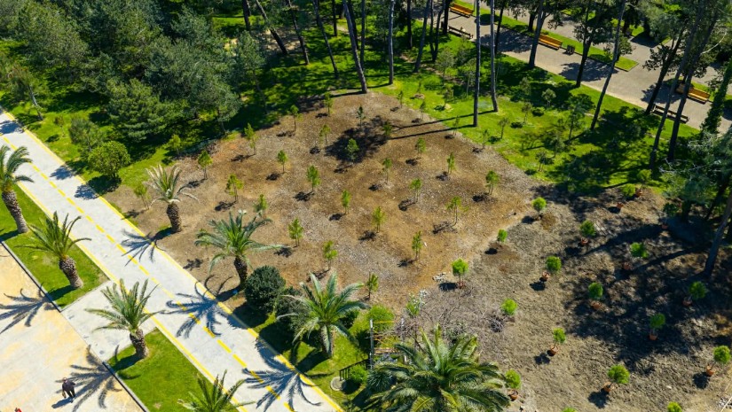 ბულვარი