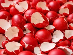 კვერცხის ნაჭუჭი