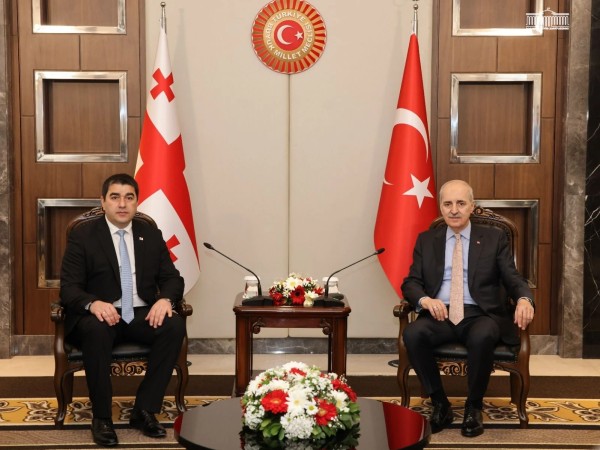 შალვა პაპუაშვილი