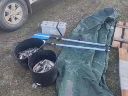 ბრაკონიერობა