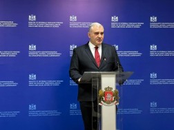 მიხეილ სარჯველაძე მიხეილ სარჯველაძე