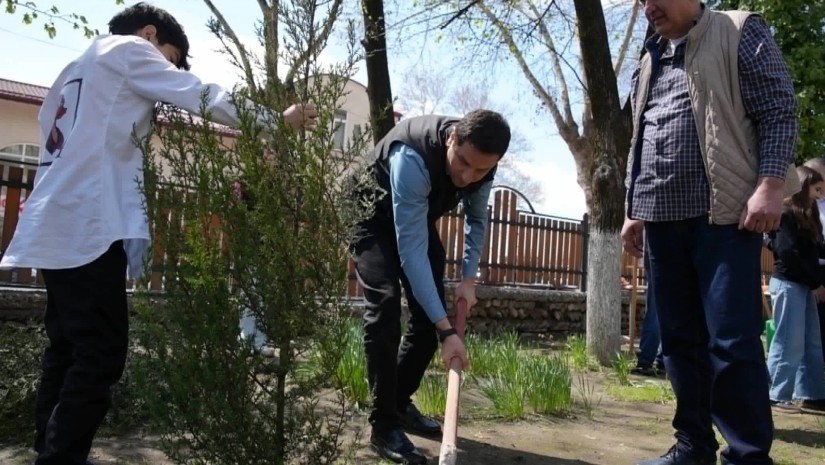 დედამიწის