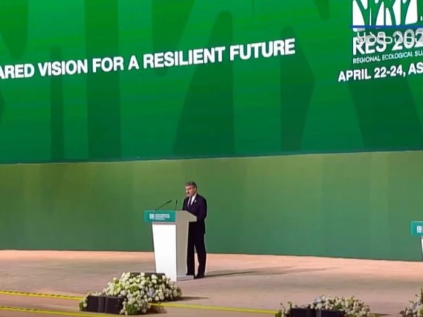 ყაველაშვილი