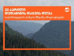 საქართველოს ბსნკი